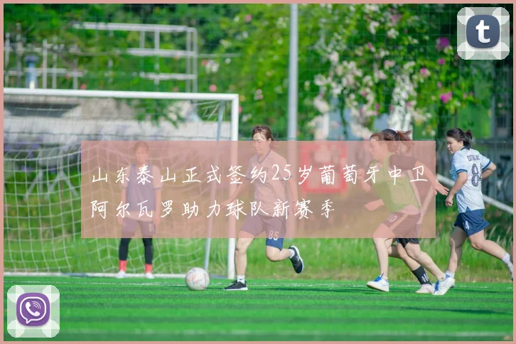 山东泰山正式签约25岁葡萄牙中卫阿尔瓦罗助力球队新赛季