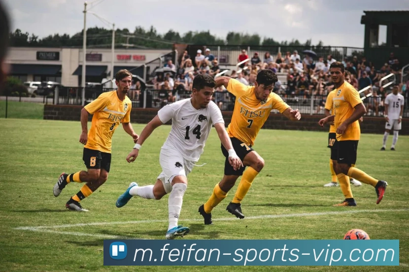 App Interface Preview