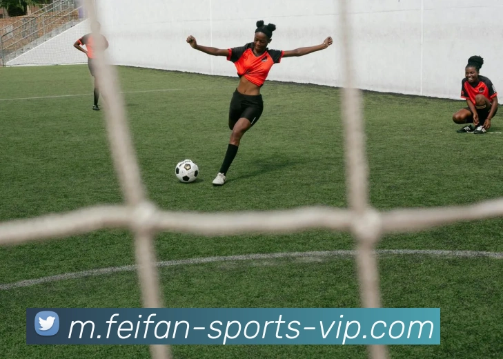 非凡体育APP 封面图