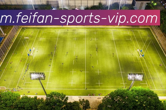 数据防护可视化